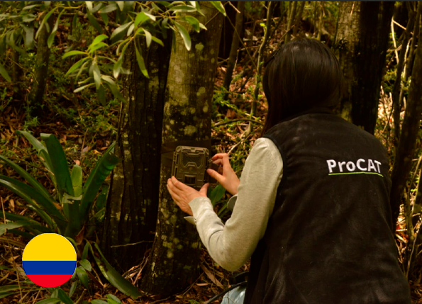 Análisis de conectividad funcional entre los farallones de Medina y el PNN Chingaza: Mamíferos como herramienta de planificación, Jurisdicción de la Corporación Autónoma Regional Del Guavio- CORPOGUAVIO