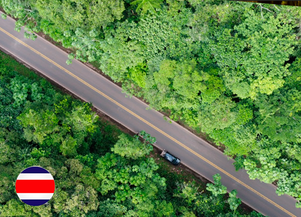 Caracterización del estado actual y formulación del plan de conservación del puma (Puma concolor) en los departamentos de Arauca, Vichada y Casanare.