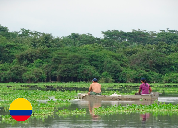 Caracterización del estado actual y formulación del plan de conservación del puma (Puma concolor) en los departamentos de Arauca, Vichada y Casanare.