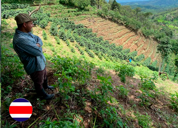 Caracterización del estado actual y formulación del plan de conservación del puma (Puma concolor) en los departamentos de Arauca, Vichada y Casanare.