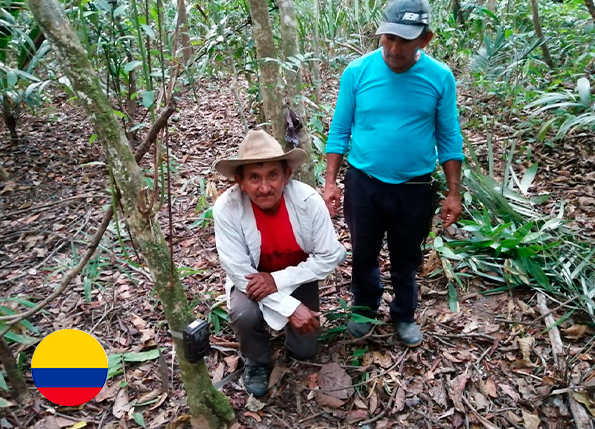 Caracterización del estado actual y formulación del plan de conservación del puma (Puma concolor) en los departamentos de Arauca, Vichada y Casanare.