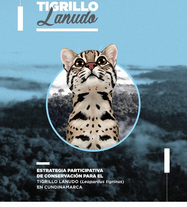 ESTRATEGIA PARTICIPATIVA DE CONSERVACIÓN PARA EL TIGRILLO LANUDO