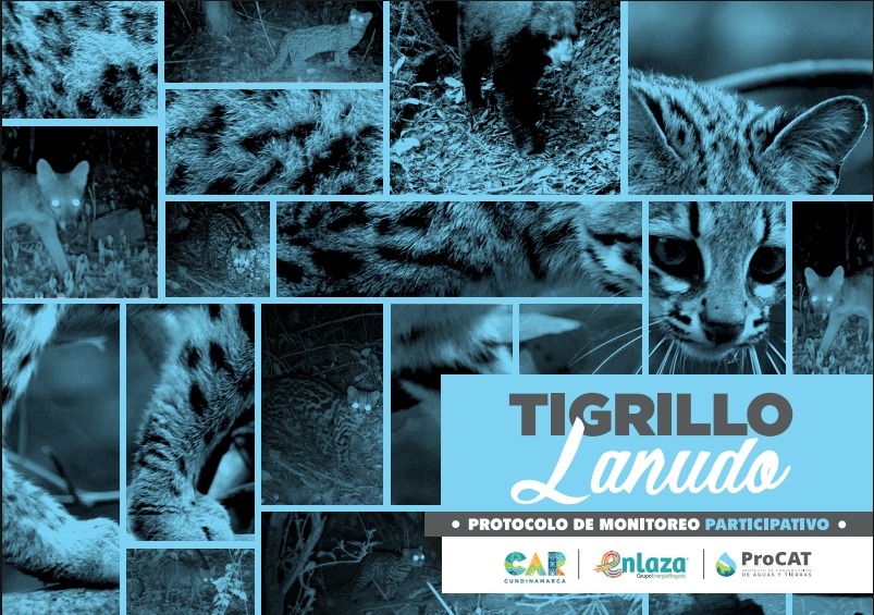 Protocolo de monitoreo participativo para el tigrillo lanudo (Leopardus tigrinus) en el departamento de Cundinamarca